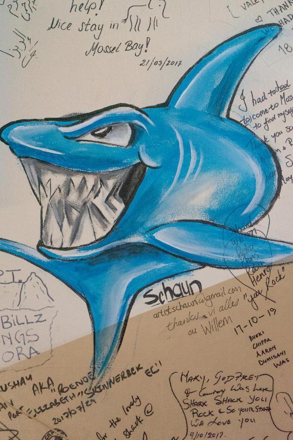 Hostel Shark Shack Backpackers Mossel Bay Exterior foto